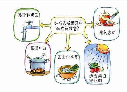 如何減少農(nóng)藥污染去除農(nóng)藥殘留？振華化工總結(jié)以下幾點(diǎn)分享給大家